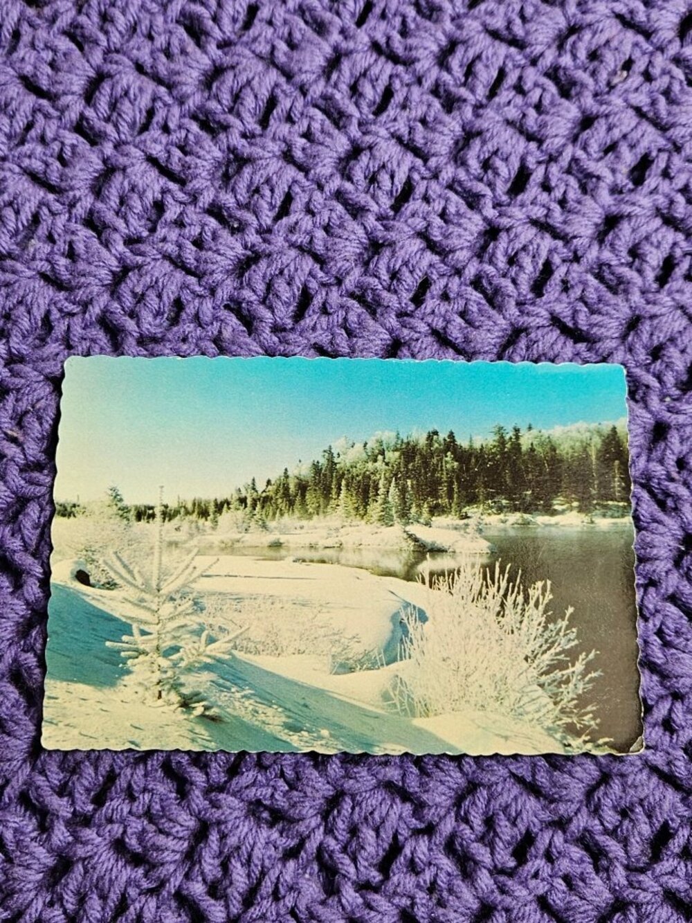 Winter Scenery in Algoma Postcard